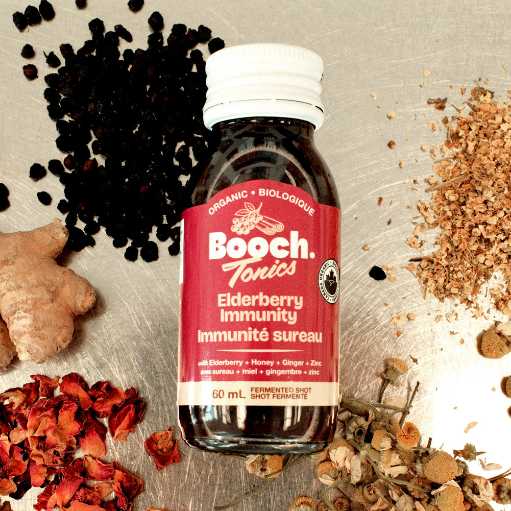 Booch Tonics - Elderberry Immunity