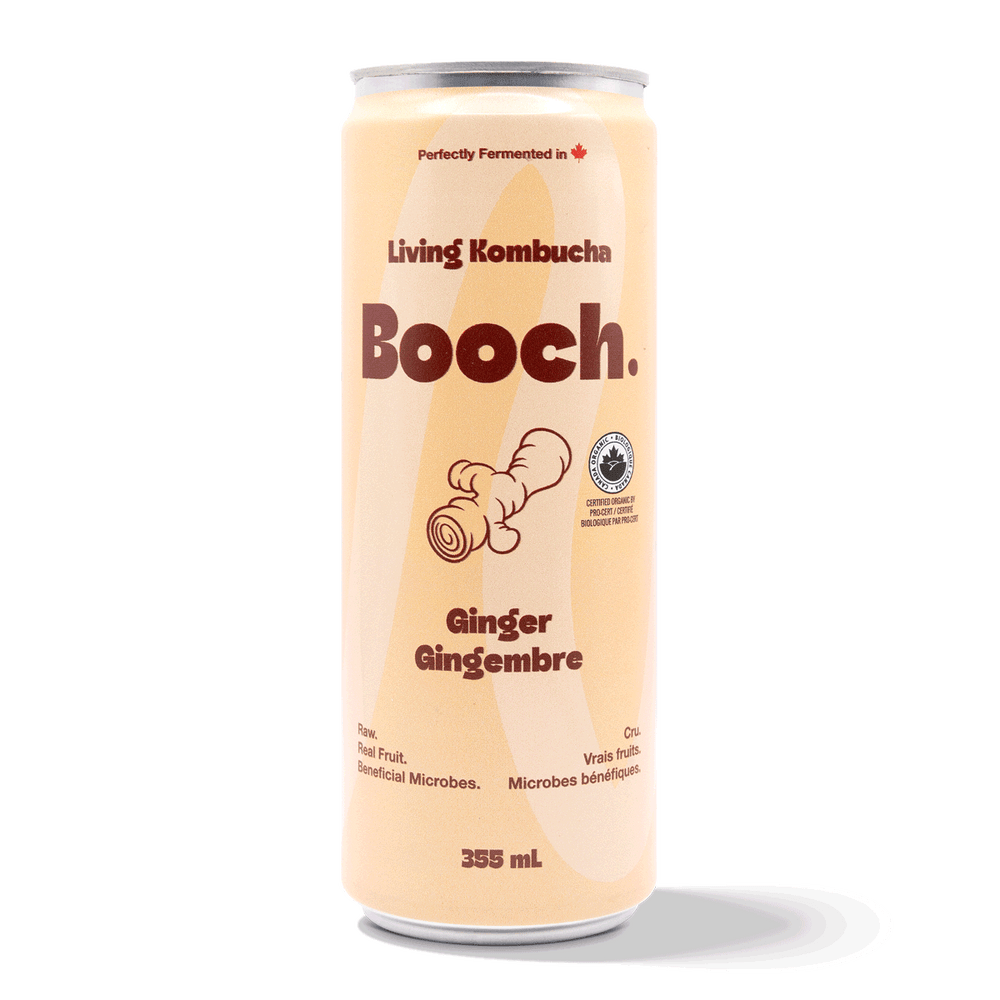 Kombucha - Ginger (6 Cans)