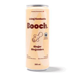 
                                
                                    Load image into Gallery viewer, Kombucha - Ginger (6 Cans)
                                
                            