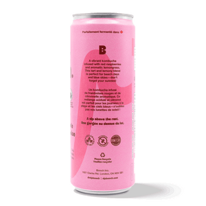 
                                
                                    Load image into Gallery viewer, Kombucha - Raspberry Lemonade (6 Cans)
                                
                            