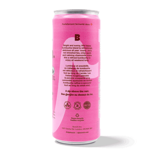 
                                
                                    Load image into Gallery viewer, Kombucha - Strawberry Apple (6 Cans)
                                
                            