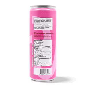 
                                
                                    Load image into Gallery viewer, Kombucha - Strawberry Apple (6 Cans)
                                
                            