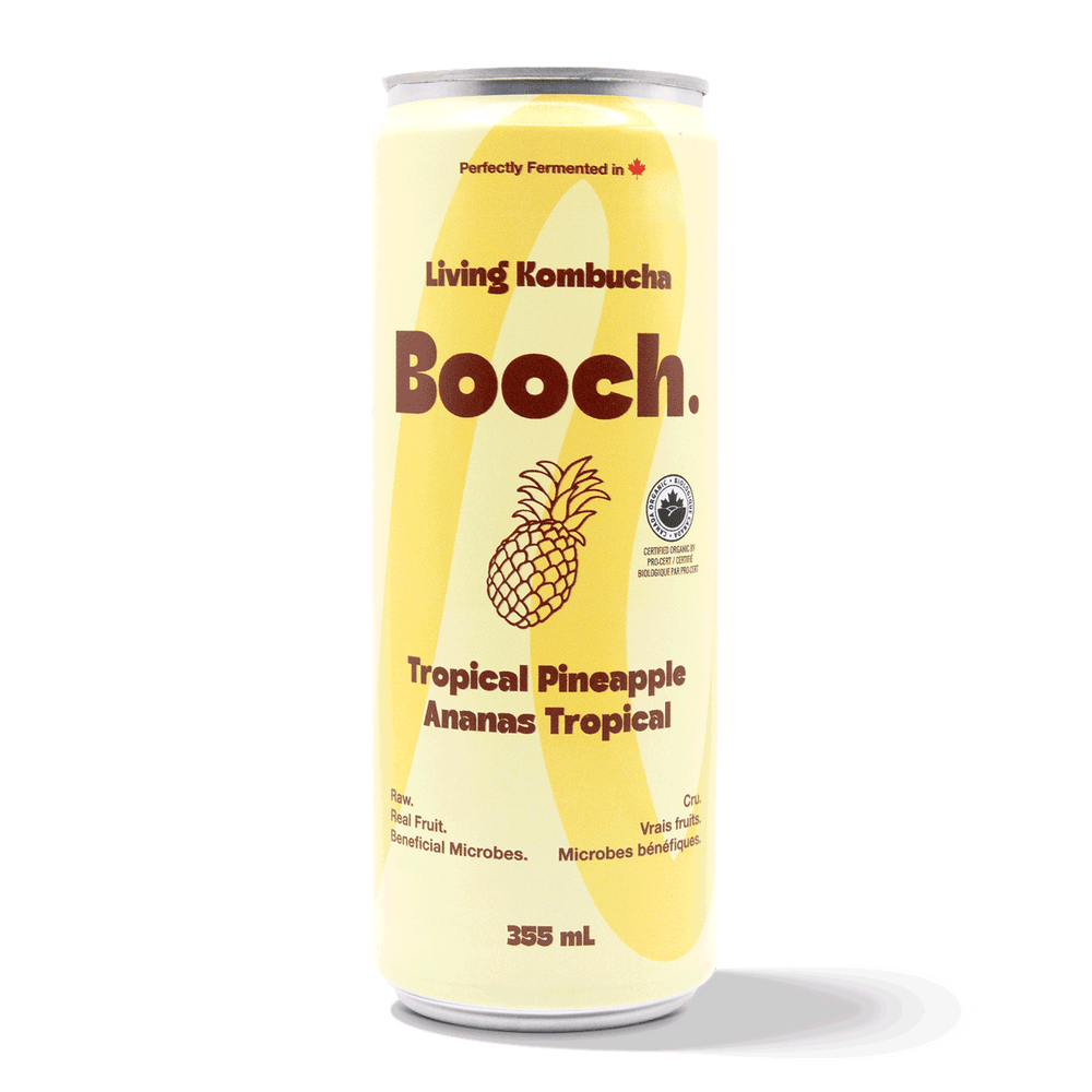Kombucha - Tropical Pineapple (6 Cans)