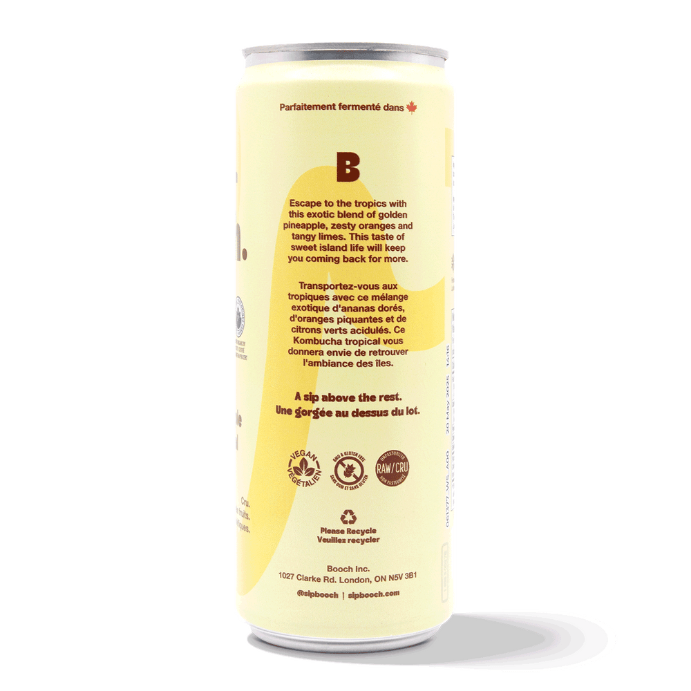 
                                
                                    Load image into Gallery viewer, Kombucha - Tropical Pineapple (6 Cans)
                                
                            