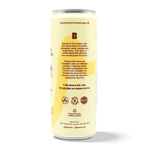 
                                
                                    Load image into Gallery viewer, Kombucha - Tropical Pineapple (6 Cans)
                                
                            