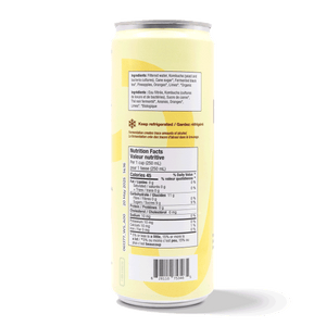 
                                
                                    Load image into Gallery viewer, Kombucha - Tropical Pineapple (6 Cans)
                                
                            