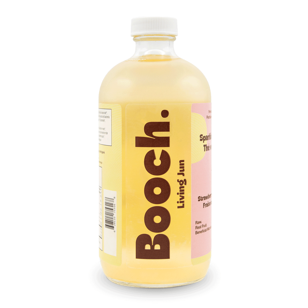 Booch Occonal Collections – Booch Organic Kombucha