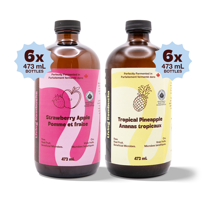 Kombucha - Booch Bottle Summer '25 Duo (12 Bottles)
