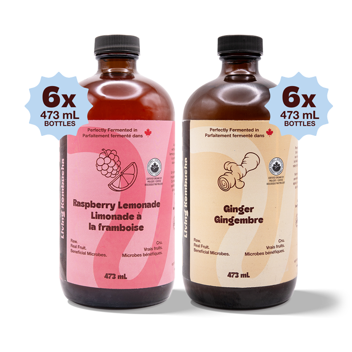 Kombucha - Booch Bottle OG Duo (12 Bottles)