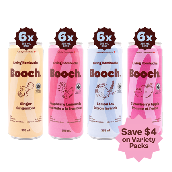 Kombucha - Booch Greatest Sips (24 Cans)