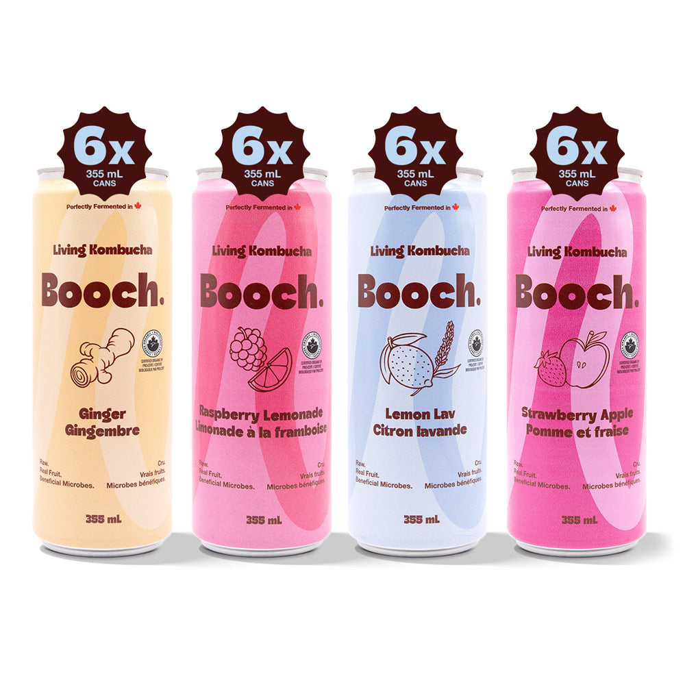 Kombucha - Booch Greatest Sips (24 Cans) – Booch Organic Kombucha