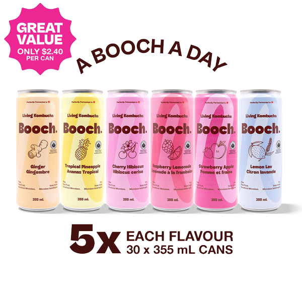 Booch a Day Collection (30 Cans)