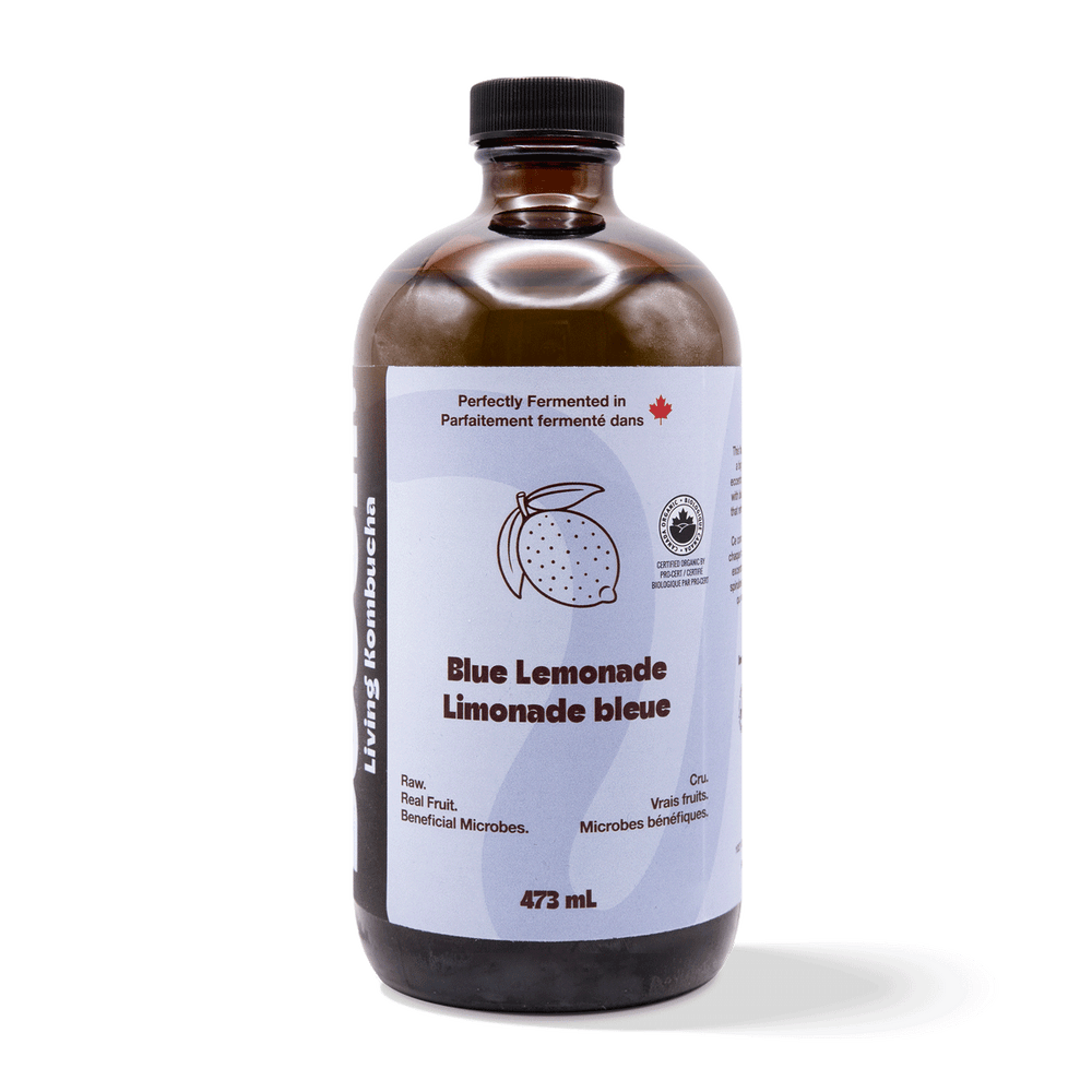 Kombucha - Blue Lemonade (6 Bottles)