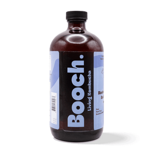 
                                
                                    Load image into Gallery viewer, Kombucha - Blueberry Holy Basil (6 Bottles)
                                
                            