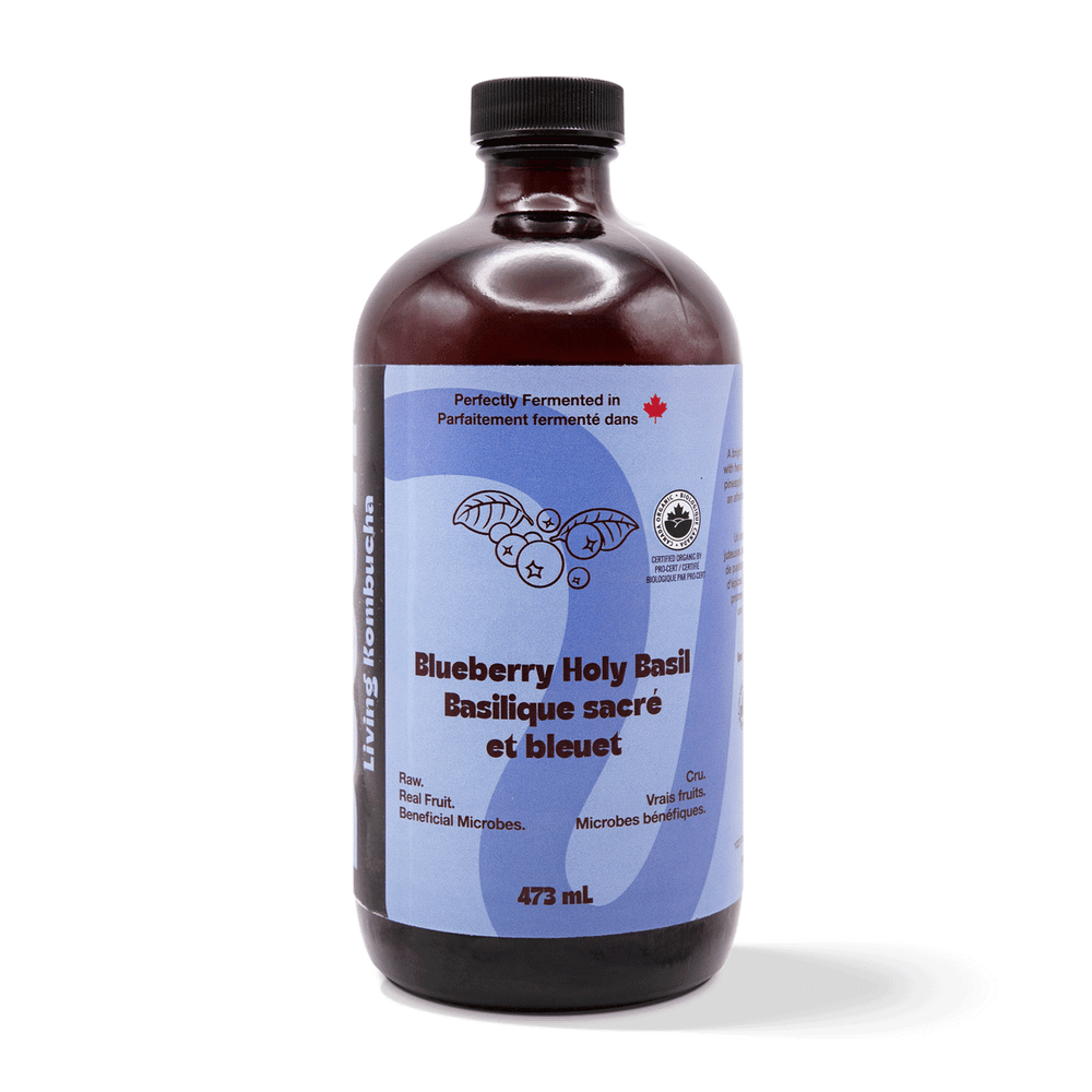 Kombucha - Blueberry Holy Basil (6 Bottles)