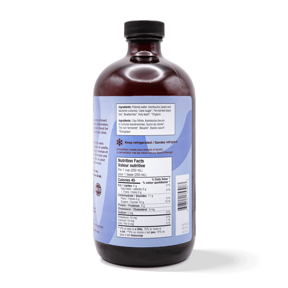 
                                
                                    Load image into Gallery viewer, Kombucha - Blueberry Holy Basil (6 Bottles)
                                
                            