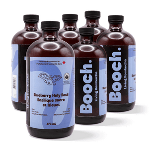 
                                
                                    Load image into Gallery viewer, Kombucha - Blueberry Holy Basil (6 Bottles)
                                
                            