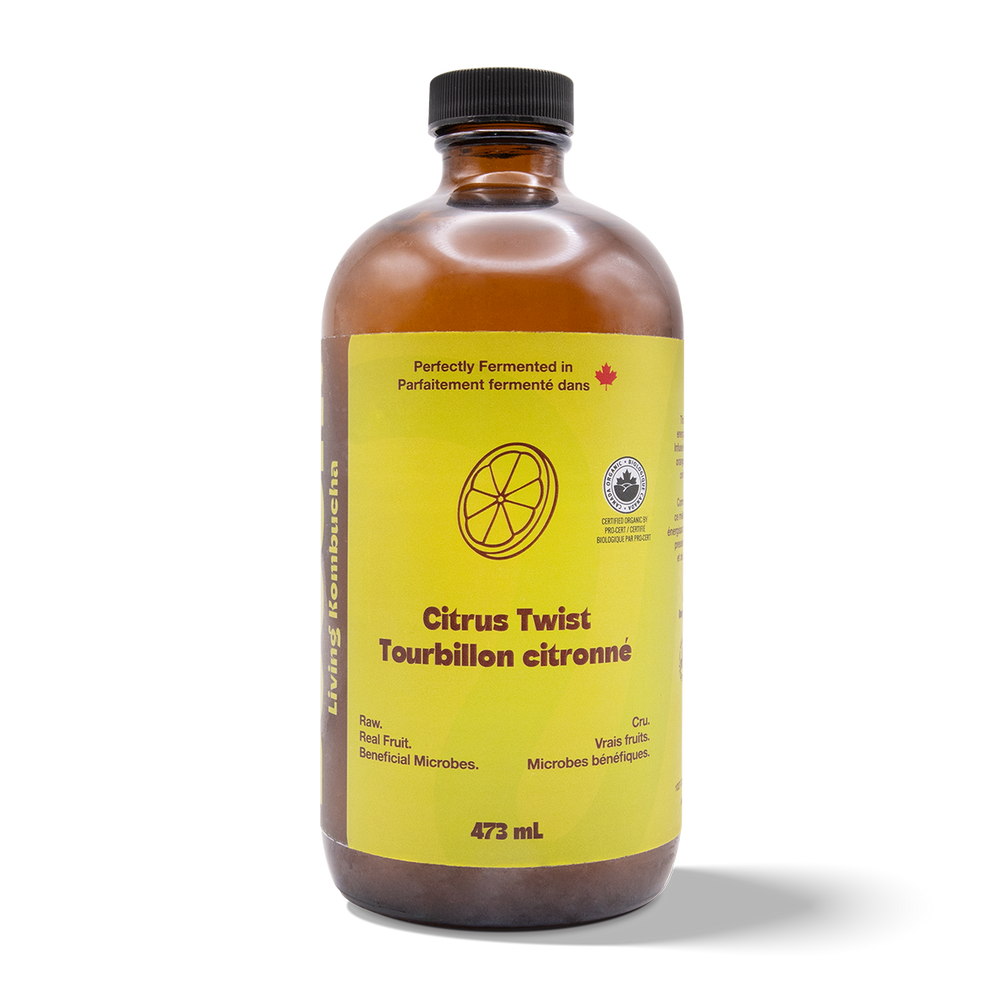 Kombucha - Citrus Twist (6 Bottles)