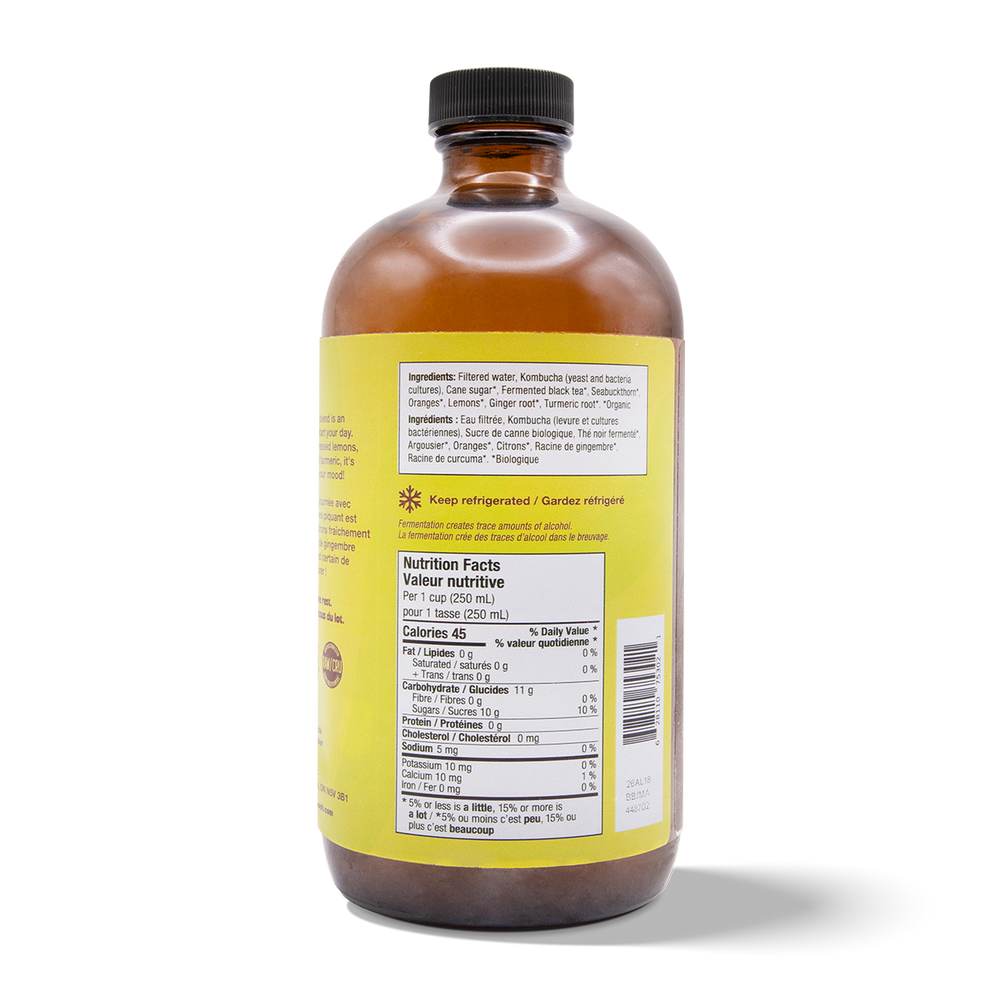 
                                
                                    Load image into Gallery viewer, Kombucha - Citrus Twist (6 Bottles)
                                
                            