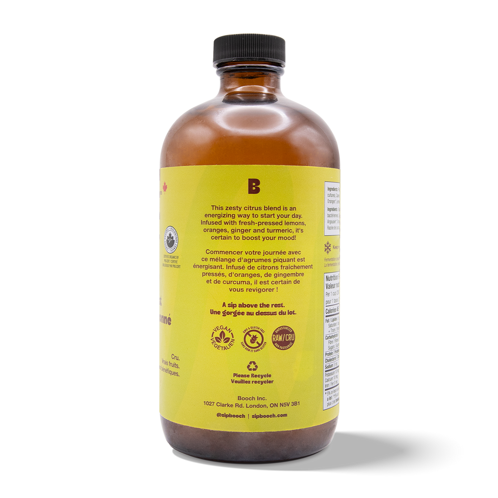 
                                
                                    Load image into Gallery viewer, Kombucha - Citrus Twist (6 Bottles)
                                
                            