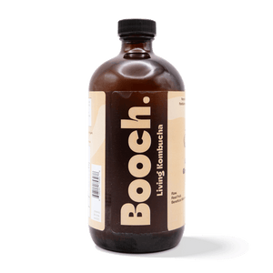 
                                
                                    Load image into Gallery viewer, Kombucha - Ginger (6 Bottles)
                                
                            