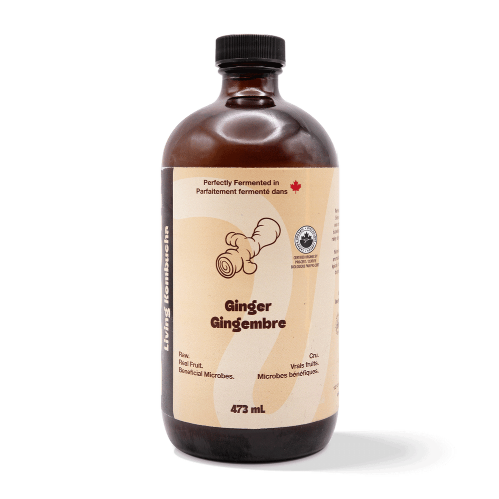 Kombucha - Ginger (6 Bottles)