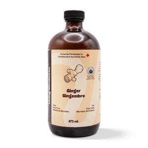 
                                
                                    Load image into Gallery viewer, Kombucha - Ginger (6 Bottles)
                                
                            