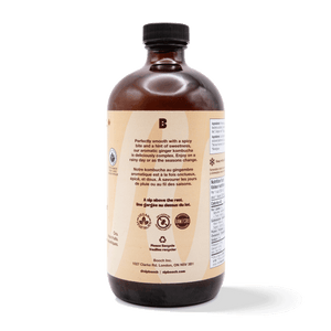 
                                
                                    Load image into Gallery viewer, Kombucha - Ginger (6 Bottles)
                                
                            