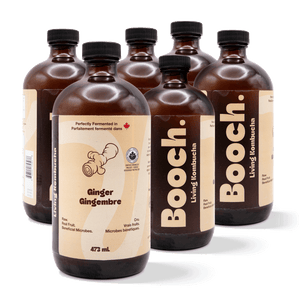 
                                
                                    Load image into Gallery viewer, Kombucha - Ginger (6 Bottles)
                                
                            