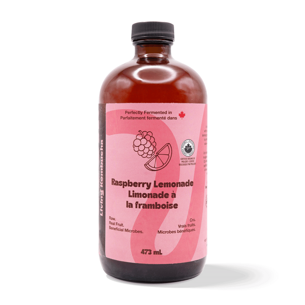 Kombucha - Raspberry Lemonade (6 Bottles)