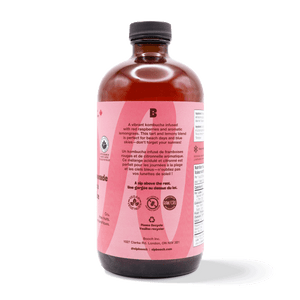 
                                
                                    Load image into Gallery viewer, Kombucha - Raspberry Lemonade (6 Bottles)
                                
                            