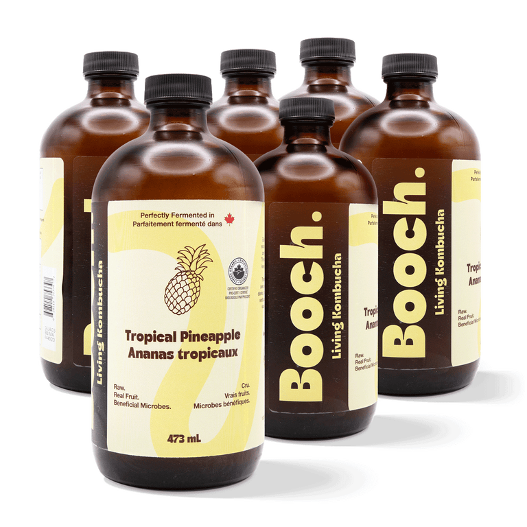 Shop All – Booch Organic Kombucha