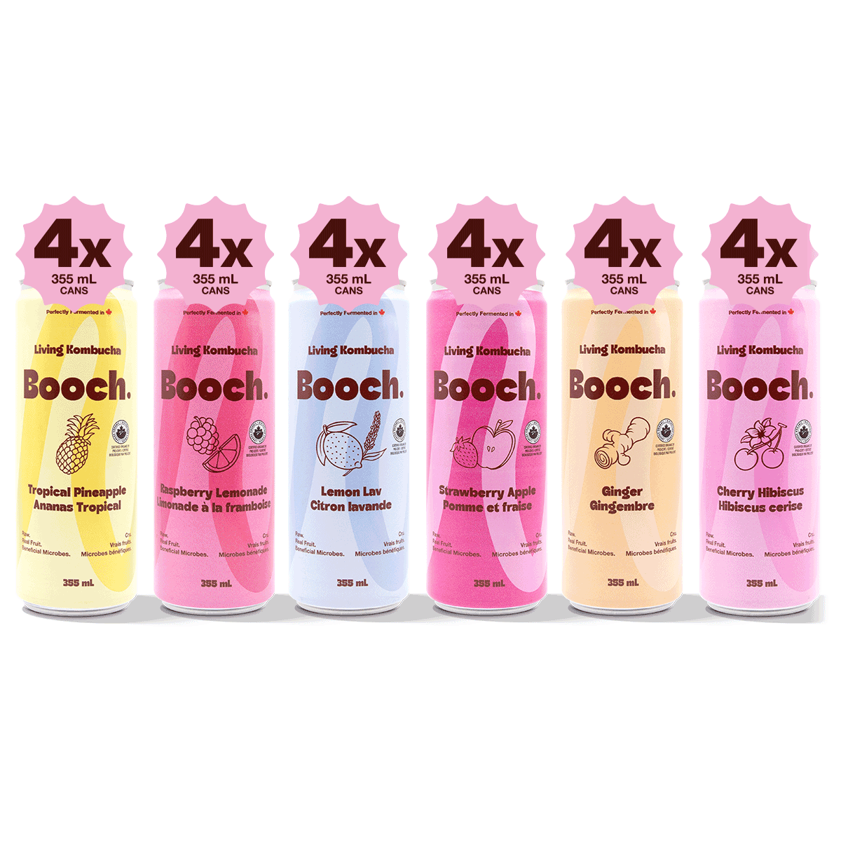 Kombucha - The Complete Booch Collection (24 Cans)