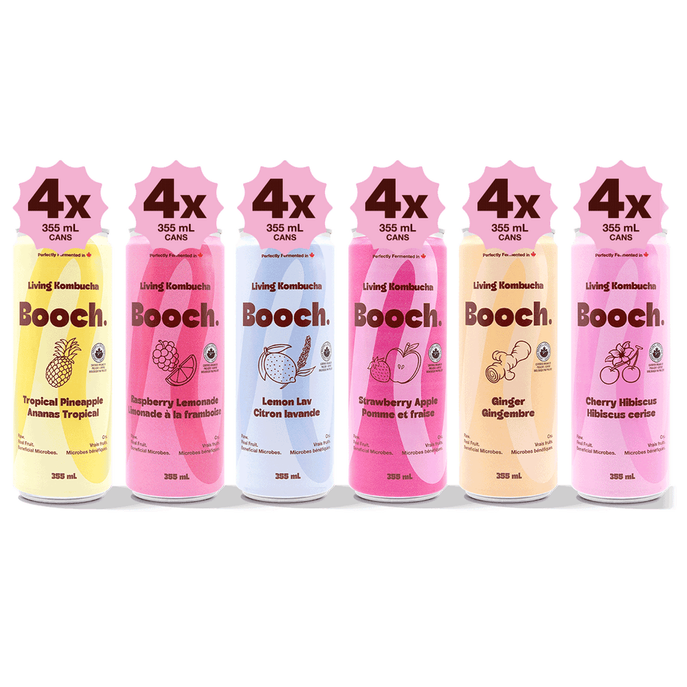 Kombucha - The Complete Booch Collection (24 Cans)