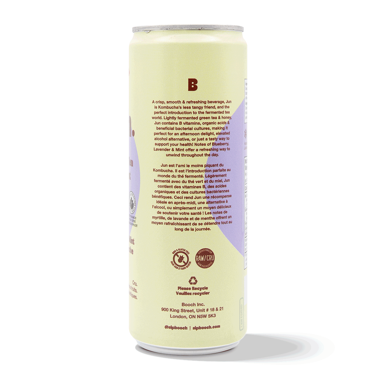 Sparkling Green Tea - Blueberry, Lavender & Mint (6 Cans)