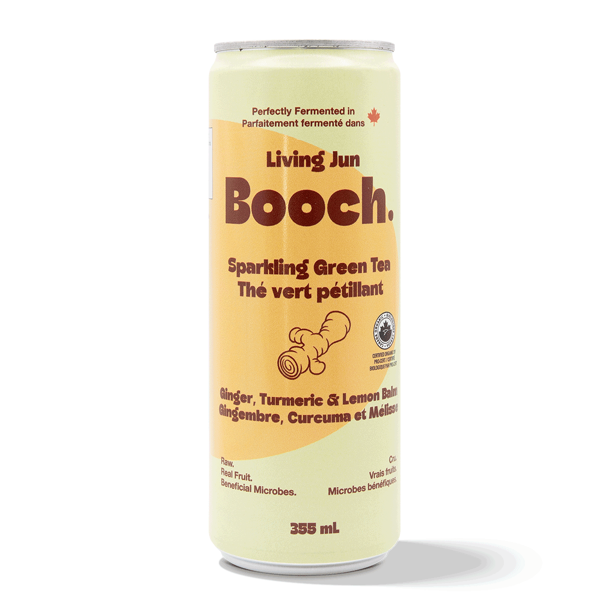 Sparkling Green Tea - Ginger, Turmeric & Lemon Balm (6 Cans)