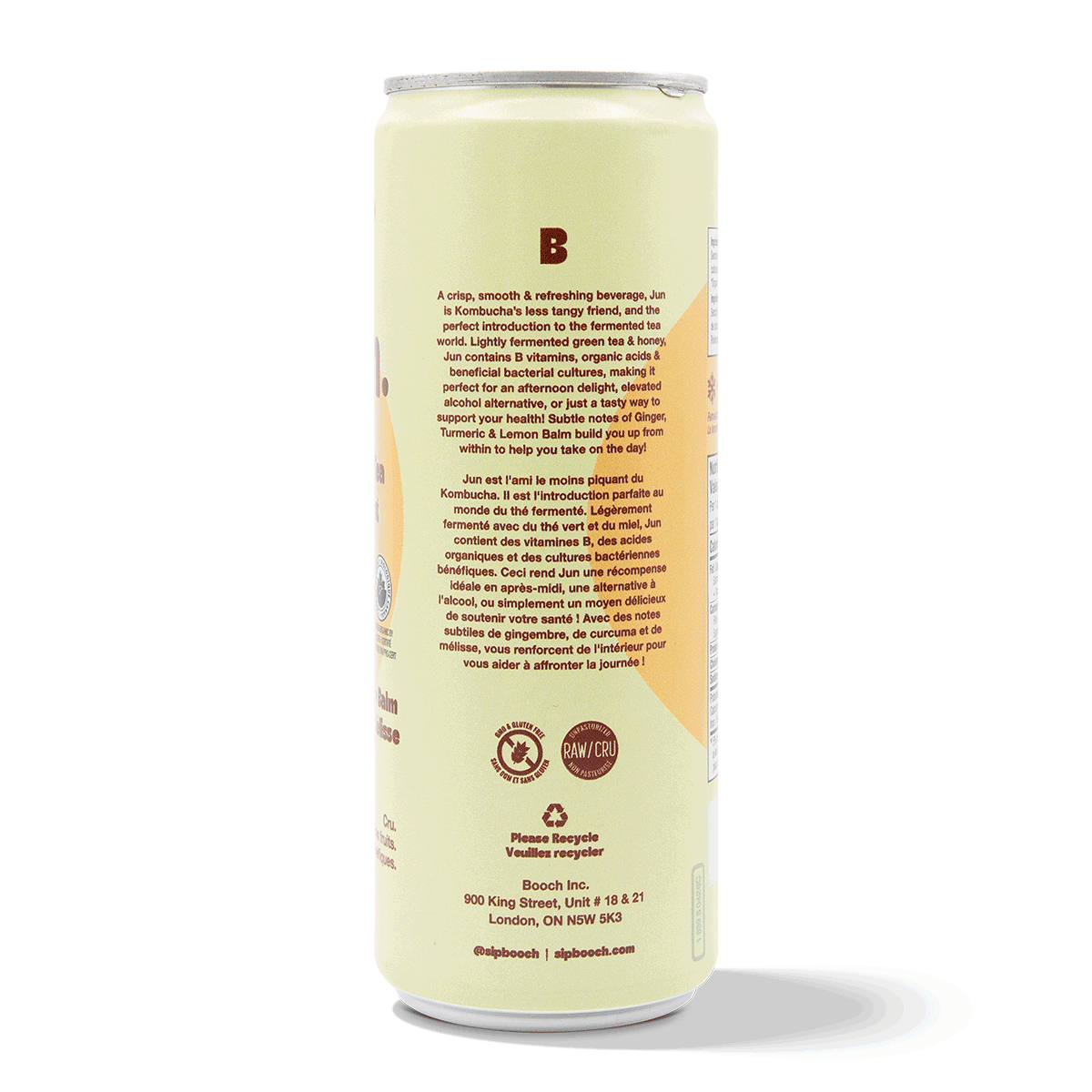 Sparkling Green Tea - Ginger, Turmeric & Lemon Balm (6 Cans)