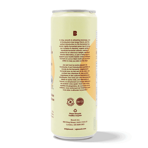 
                                
                                    Load image into Gallery viewer, Sparkling Green Tea - Ginger, Turmeric &amp;amp; Lemon Balm (6 Cans)
                                
                            