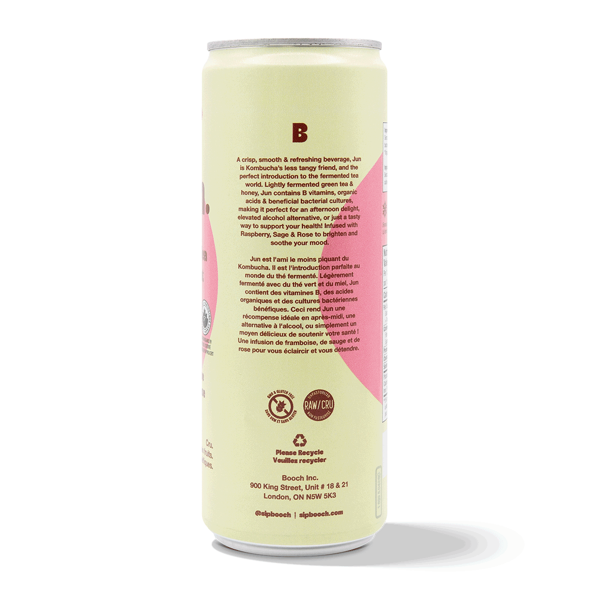 Sparkling Green Tea - Raspberry, Sage & Rose (6 Cans)