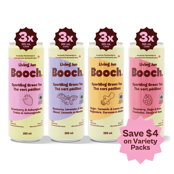 The Sparkling Green Tea Edit - Variety Pack (12 Cans)