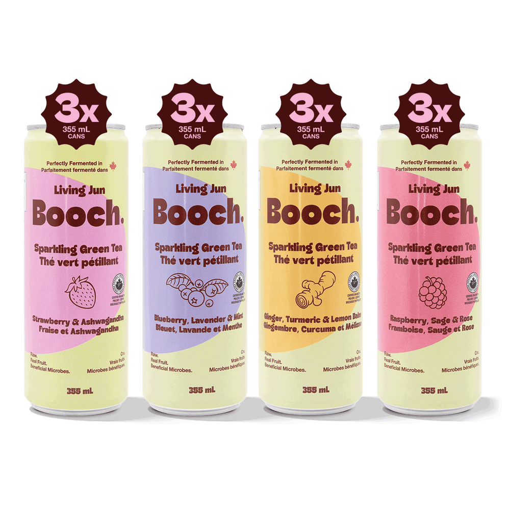 The Sparkling Green Tea Edit - Variety Pack (12 Cans)